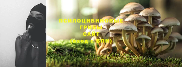ешки Костерёво