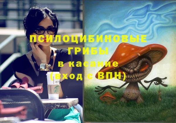 ешки Коряжма