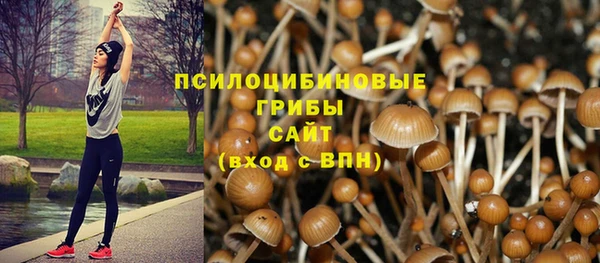экстази Корсаков