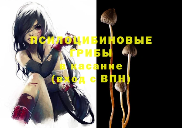 экстази Корсаков